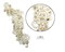 3" Wide x 9" Long Gold Bridal Venice Lace with Beaded Sequins Pack of 25